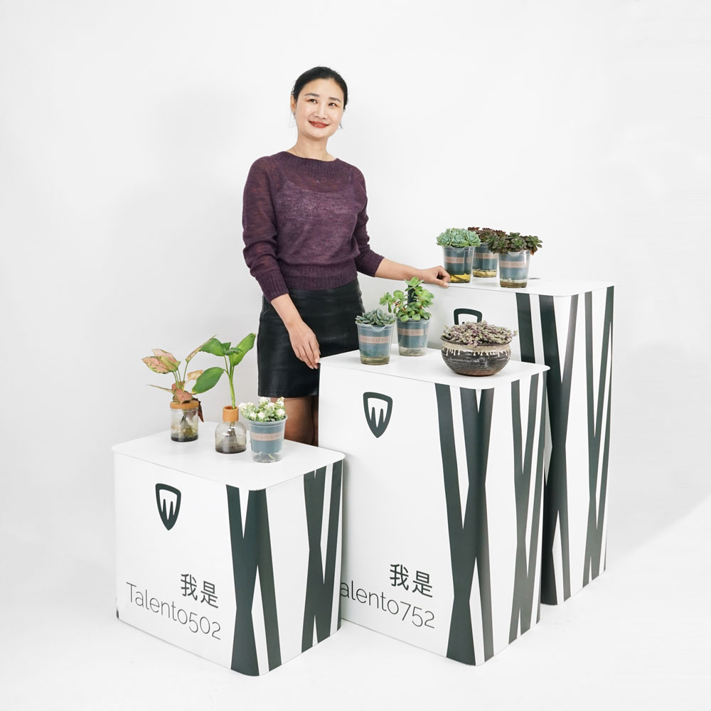 présentoir rectangulaire portable 